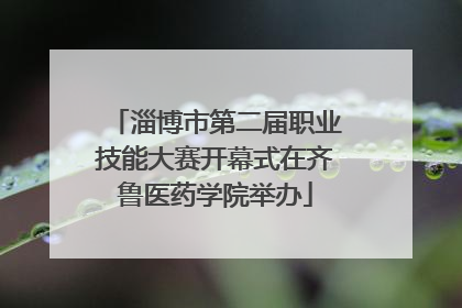 淄博市第二届职业技能大赛开幕式在齐鲁医药学院举办